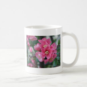Mug Fleur de Cognassier à fleurs roses de printemps