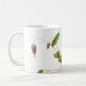Mug Fleur de cuir italien (Clematis) par Redouté (Gauche)