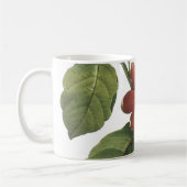 Mug fleur de passion (Passiflora alata) par Redouté (Gauche)