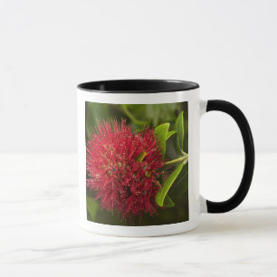 Mug Fleur de Pohutukawa, Dunedin