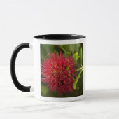 Mug Fleur de Pohutukawa, Dunedin (Gauche)