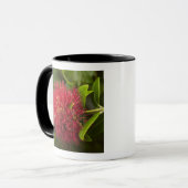Mug Fleur de Pohutukawa, Dunedin (Devant gauche)