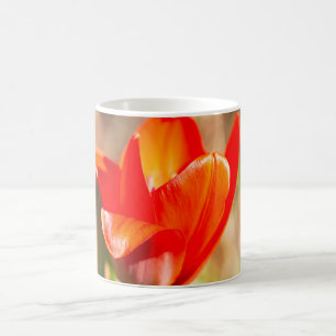 Mug Fleur de tulipe rouge