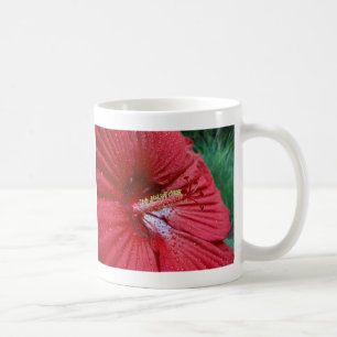 Mug Fleur Hibiscus Rouge Avec Raindrops Photo