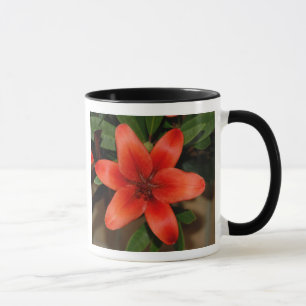 Mug Fleur Lily orange parfaite
