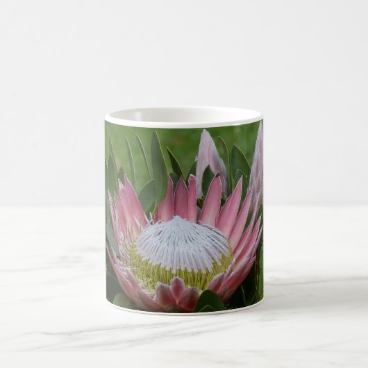 Mug Fleur Protea rose (Centre)