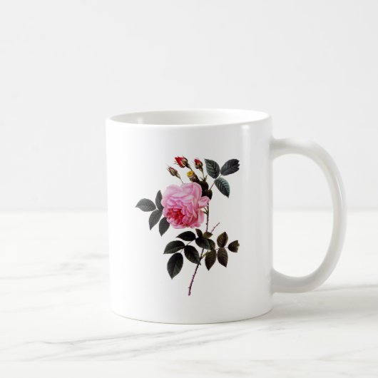 Mug Fleur rose rose, Pierre Joseph Redouté (Droite)