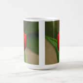 Mug Fleur rouge de ressort de tulipe (Centre)