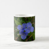 Mug Fleur sauvage Blue Spiderwort Hot Springs AR Cadea (Centre)