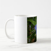 Mug Fleur sauvage Blue Spiderwort Hot Springs AR Cadea (Gauche)