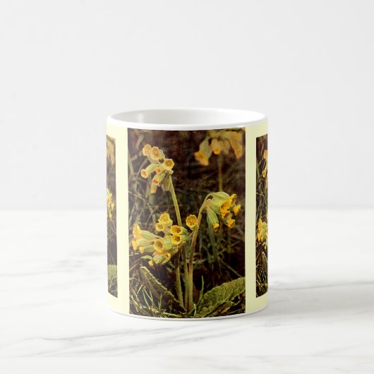 Mug Fleur sauvage : Cowslip (Centre)