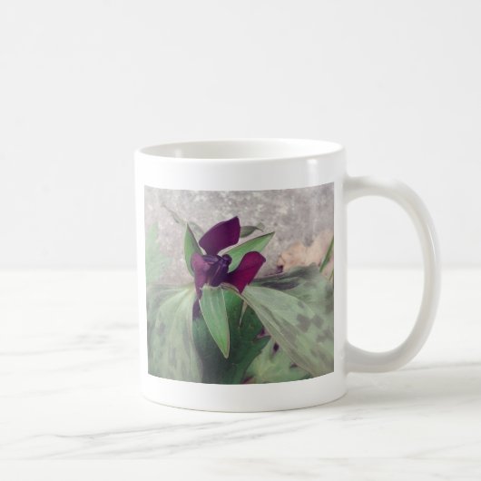 Mug Fleur sauvage florissant (Droite)
