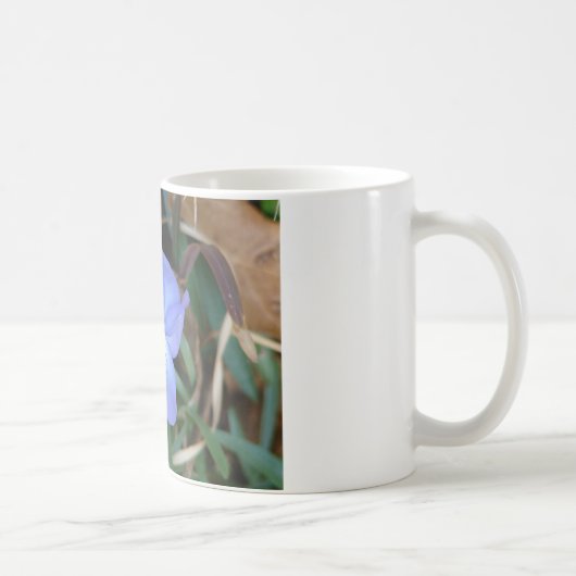 Mug Fleur sauvage Oiseaux-Pied Violet IV sources therm (Droite)
