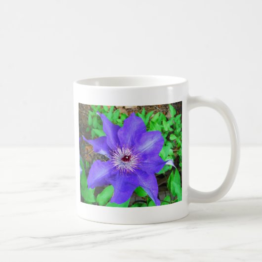 Mug Fleur violette Clematis (Droite)