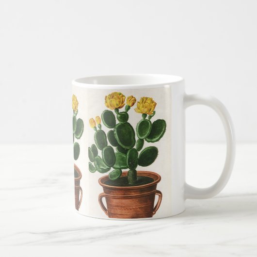 Mug Fleurs de cactus vintages, Cactus Succulents Plant (Droite)