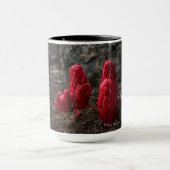 Mug Fleurs de neige (Centre)