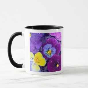 Mug Fleurs de pensée flottant dans un bain d'oiseau av