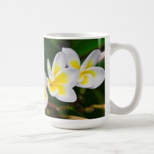 Mug Fleurs de plumeria en gros plan, Hawaï