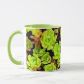 Mug Fleurs de succulentes vertes (Gauche)
