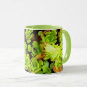 Mug Fleurs de succulentes vertes (Devant droit)