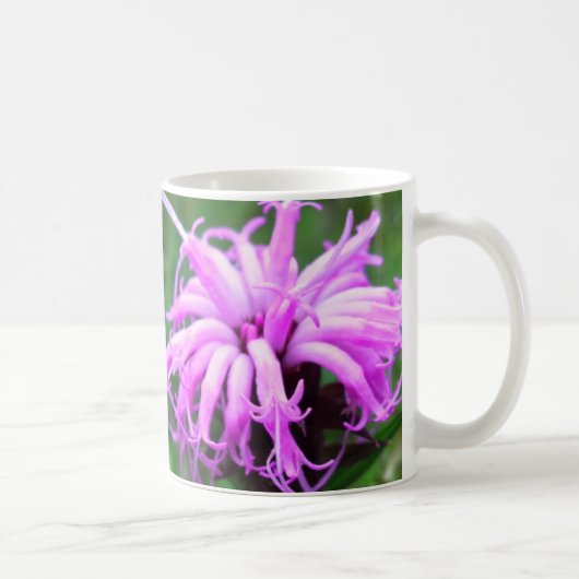 Mug Fleurs d'herbe de Saint-Jacques (Droite)