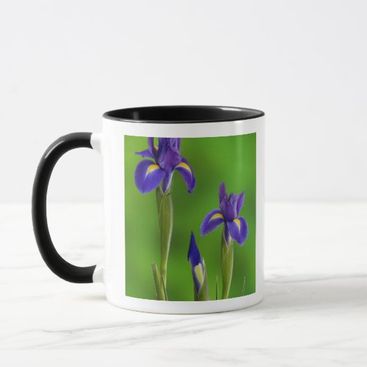 Mug Fleurs d'Iris (Gauche)