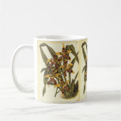 Mug Fleurs d'orchidées Odontoglossum tropicales vintag (Gauche)
