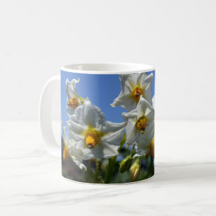 Mug Fleurs étoilées Solanum tuberosum
