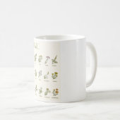 Mug Fleurs sauvages et herbes (Devant droit)