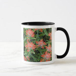 Mug fleurs sauvages indiens en pinceau dans les nombre