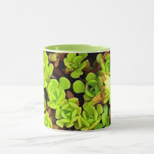 Mug Fleurs vertes Succulentes (Centre)