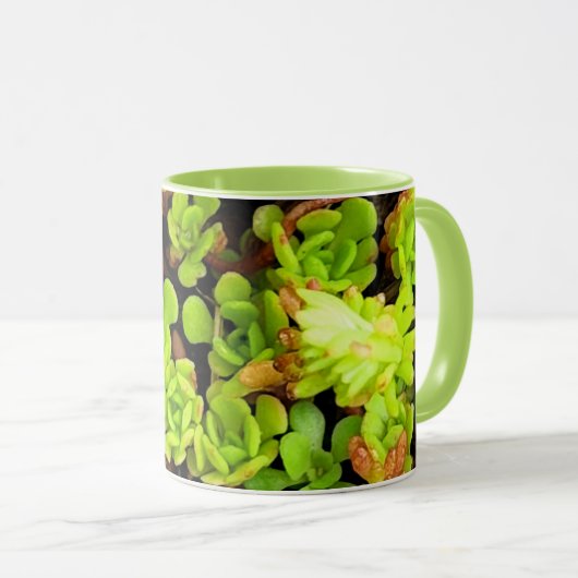 Mug Fleurs vertes Succulentes (Devant droit)