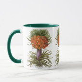Mug Fleurs vintages de Fritillaria par Basilius Besler (Gauche)