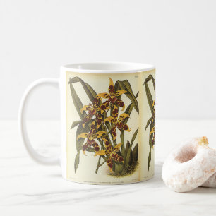 Mug Fleurs vintages Tropicales Odontoglossum Orchidées