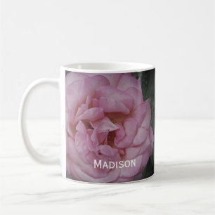 Mug Floral Pretty Rose Rose Photo Flower