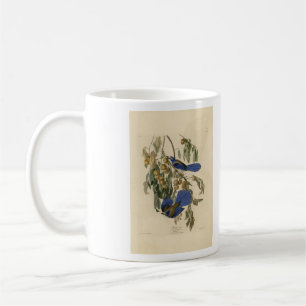 Mug Florida Jay (Scrub-Jay) Audubon's Birds of America