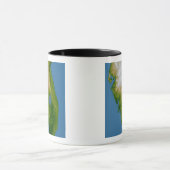 Mug Floride du sud (Centre)