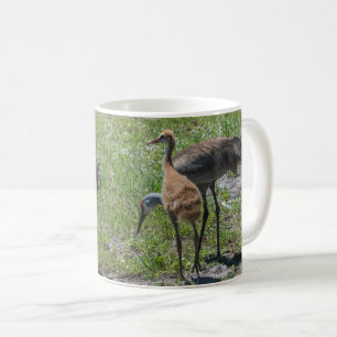 Mug Floride Sandhill Granes Nature Photographie
