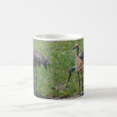 Mug Floride Sandhill Granes Nature Photographie (Centre)