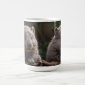 Mug Fluffy Baby Australian Wombat, (Centre)