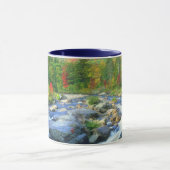 Mug Flume Falls | Monts Adirondack (Centre)