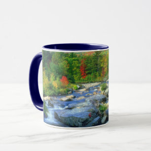 Mug Flume Falls Monts Adirondack