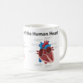 Mug Flux sanguin du coeur humain (Devant droit)