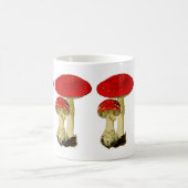 Mug Fly agaric mushroom (Centre)