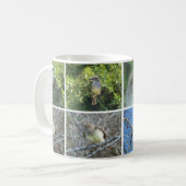 Mug FLYCATCHER de Galápagos (Devant gauche)