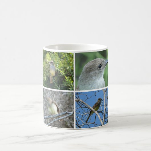 Mug FLYCATCHER de Galápagos (Centre)