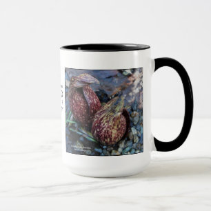 Mug Foetidus de Symplocarpus, mouffette-chou