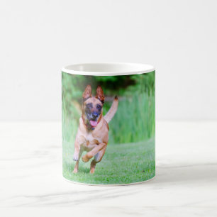 Mug Fonctionnement de chien de Malinois