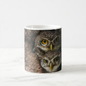 Mug Forest | Deux Owls Looking (Centre)