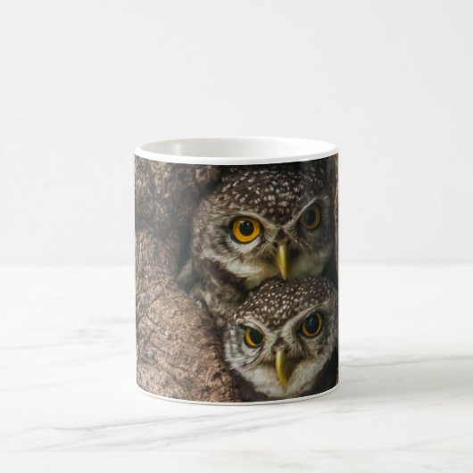 Mug Forest | Deux Owls Looking (Centre)